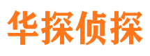 平阳市侦探公司